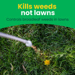 Close-up of a dandelion in grass being sprayed, with header text 'Kills weeds not lawns' and descriptive subtext.