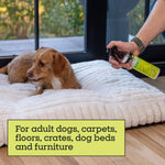 Person spraying Pet Life Unlimited flea and tick spray near a small brown dog lying on a white dog bed