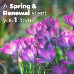 Close-up of purple spring flowers with overlaid text reading a Spring & Renewal scent you’ll love