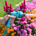 Hand-held teal Sprout hose nozzle spraying a thin stream toward pink and orange flowers in sunlit garden