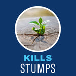 Photograph of a plant sprout emerging from cracked wood above bold text 'Kills Stumps' on a blue background