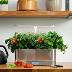 AeroGarden stainless indoor grower on a kitchen shelf producing leafy tomato plants with clusters of ripe and green fruit