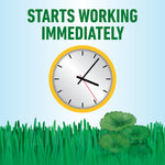 Graphic with a clock illustration and text 'Starts working immediately' above stylized grass and weed leaves.
