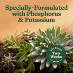 Close-up of assorted succulents with text 'Specially-Formulated with Phosphorus & Potassium' and a badge instructing 'Use Every Two Weeks'.