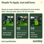 Step-by-step application graphic showing inserting straw, attaching pouch, and watering with Sunday Green Machine