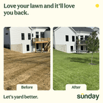 Before-and-after comparison photos showing a brown lawn transformed to a green lawn with Sunday branding