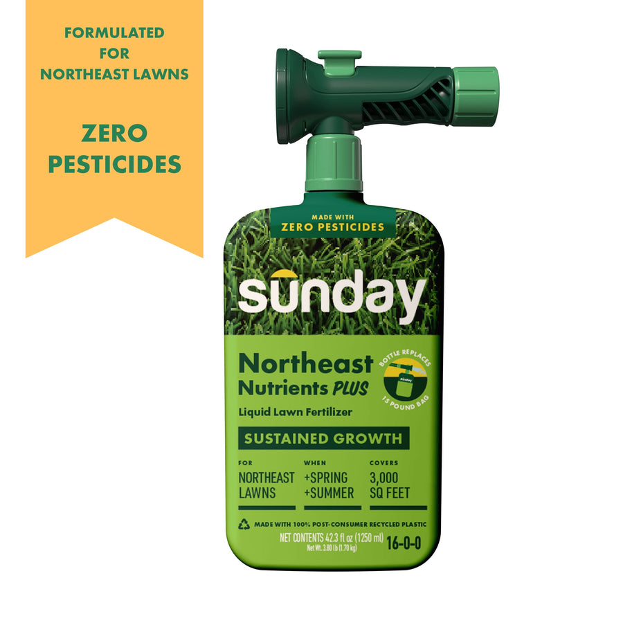 Green Sunday ready-to-spray lawn fertilizer bottle with hose connector and 'Northeast Nutrients Plus' label on a white background.