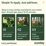 Step-by-step instructional graphic showing three panels of using Sunday Texas Green: insert straw, attach pouch to sprayer, water nutrients onto lawn