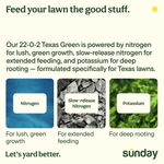 Informational graphic describing benefits of Sunday Texas Green fertilizer with icons for nitrogen, slow-release nitrogen, and potassium