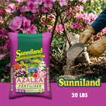 Bag of Sunniland Azalea Camellia & Gardenia fertilizer beside gloved hand scooping granules near azalea shrubs.