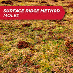 Grass area covered in numerous mole mounds with a red banner label stating 'SURFACE RIDGE METHOD MOLES'.