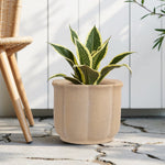 Tan ceramic scalloped planter shown outdoors with plant inside, textured speckled finish and flared rim.