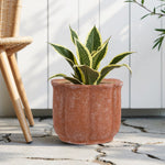 Terracotta scalloped ceramic planter placed outdoors on a stone floor with a variegated green plant inside and chair leg at left.