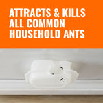 Orange header reading 'Attracts & Kills All Common Household Ants' above a close-up photo of a TERRO bait station with ants feeding.