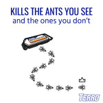 Graphic of a TERRO bait station with a trail of illustrated ants and text about killing visible and hidden ants