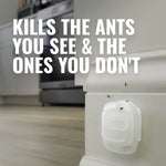 Lifestyle-style image of a TERRO bait station adhered to baseboard with ants nearby and bold text 'Kills the ants you see & the ones you don't'.