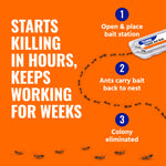 Infographic on orange background showing three-step process with ants and a TERRO Liquid Ant Bait station describing how it works.