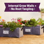 Three gray fabric raised beds filled with flowers and greenery, each labeled 'Back to the Roots', with a banner about internal grow walls.
