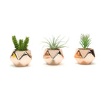 Three copper diamond-shaped ceramic planters each holding a small artificial succulent on a white background
