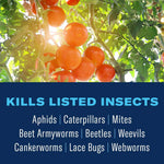 Close-up of ripe tomatoes on the vine above text listing insects controlled by the product, on a blue background.