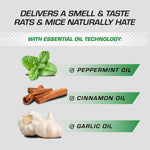 Ingredient panel graphic showing images of peppermint, cinnamon sticks, and garlic with essential oil callouts