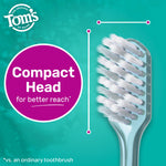 Detailed image of a Tom’s toothbrush head with graphic circle calling out a compact head for better reach