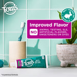 Tom’s of Maine toothpaste tube on a bathroom counter with toothbrush and plant, labeled improved flavor and no animal testing.