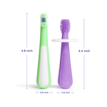 Pair of toddler toothbrushes with measurement callouts showing heights and widths: green soft-bristle and purple silicone 360° brush.