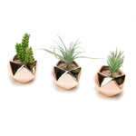 Top-down view of three shiny copper geometric planters filled with gravel and small faux succulent plants