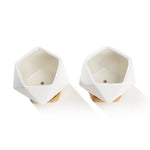 Top-down view of two white diamond ceramic succulent pots showing interior drainage holes and bamboo saucers