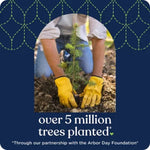 Photo of a person planting a small tree seedling with gloves above text 'over 5 million trees planted' on Quilted Northern graphic.