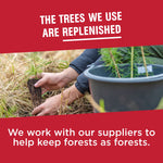 Hands planting a small tree seedling with text about replenishing trees and supplier stewardship