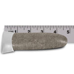 Tapered fertilizer spike with white cap shown beside a ruler to indicate length on a white background