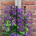 Black half-round trellis placed in front of a flowering purple clematis on a brick wall, showing trellis used as a plant support.