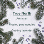 Text infographic on snow background listing 'True North' fragrance notes: Arctic air, frosted pine needles, cooling lavender