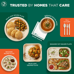 Graphic layout of various disposable plates and a section highlighting PLA cutlery by ECO SOUL
