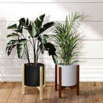 Two wooden plant stands holding black and light grey pots with tall leafy houseplants against a white shiplap wall