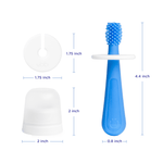 Flat-lay of a blue silicone training toothbrush, white safety guard and translucent cap with annotated dimensions in inches on a white background.