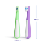 Purple and green toddler toothbrushes on white background with blue measurement callouts showing 4.8 inch height and 0.8 inch width.
