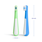 Green and blue toddler toothbrushes with dimension callouts showing length and width on white.