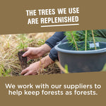 Photo of hands planting a sapling with text about replenished trees and supplier forest stewardship