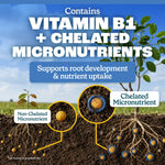 Illustration of roots in soil comparing non-chelated versus chelated micronutrients with headline about Vitamin B1 and chelated micronutrients