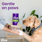 Person holding a paper towel to a dog's paw with a Viva roll visible in the background and 'Gentle on paws' text