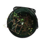 Overhead view into a green pop-up garden bag containing twigs and foliage