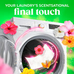Washer door with a dryer sheet inside surrounded by hibiscus flowers and pink swirling scent graphics