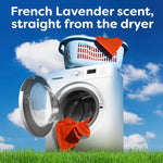Washer and laundry basket on a grassy field backdrop with text 'French Lavender scent, straight from the dryer'
