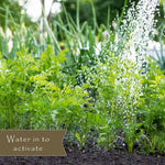 Water being sprinkled onto a garden bed of green plants with overlay text banner saying "Water in to activate"