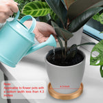 Hand watering a potted plant on a windowsill with a gold-colored round planter saucer shown beneath the pot