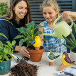 Lifestyle photo of two people watering a potted plant using a yellow bird-shaped terracotta watering spike on a tabletop