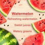 Graphic panel with watermelon slices and text describing watermelon scent notes and descriptors